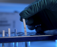 Benjamin ZERAH - BENJAMIN ZERAH