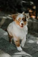 Alizé LEGRAND - ALY PHOTOGRAPHIE